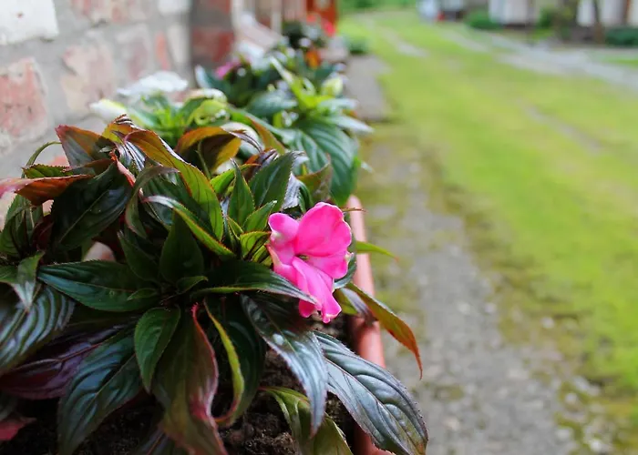 Case de vacanță Cserepmadar Szallas Es Csinyalohaz Velemér